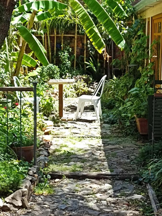 Colonia Suite Apartments Colonia del Sacramento Ngoại thất bức ảnh