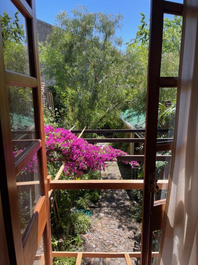 Colonia Suite Apartments Colonia del Sacramento Ngoại thất bức ảnh
